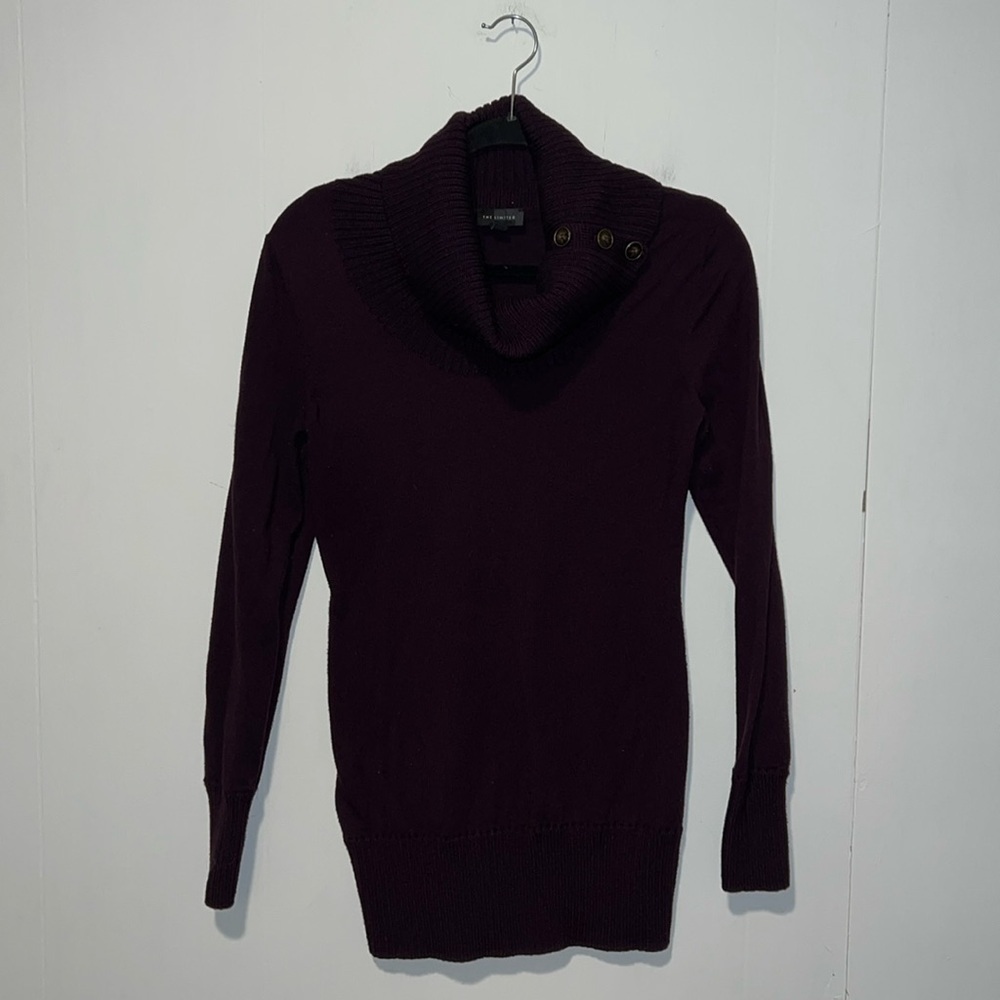 The Limited Deep Purple Turtleneck Long Sleeve Sweater S13